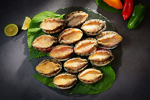 FROZEN BLANCHED ABALONE WITH SHELL